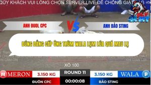 Trận 11 Bồ Tonhon 28/11/2025