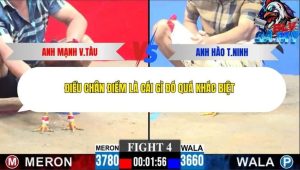 Trận 4 Bồ CPC3 ngày 30/11/2025