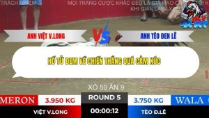 Trận 5 Bồ Tonhon 28/11/2025