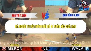 Trận 10 Bồ CPC4 27/12/2025