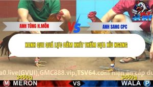 Trận 11 Bồ CPC4 11/12/2025