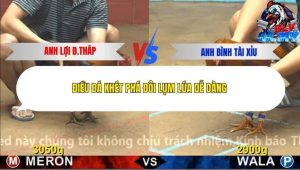 Trận 11 Bồ CPC4 15/12/2025