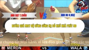 Trận 11 Bồ CPC4 26/12/2025