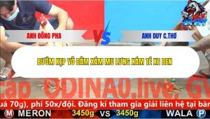 Trận 11 Bồ CPC5 23/12/2025