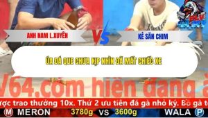 Trận 11 Bồ CPC5 6/12/2025