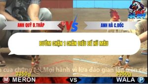 Trận 12 Bồ CPC4 18/12/2025