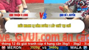 Trận 12 Bồ CPC5 23/12/2025