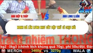 Trận 12 Bồ CPC5 ngày 2/12/2025