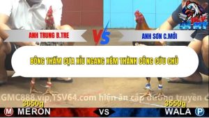 Trận 13 Bồ CPC4 15/12/2025