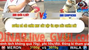 Trận 13 Bồ CPC5 11/12/2025