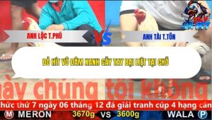 Trận 14 Bồ CPC5 9/12/2025