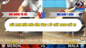 Trận 15 Bồ CPC4 16/12/2025