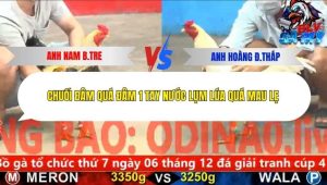 Trận 15 Bồ CPC5 6/12/2025