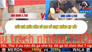 Trận 17 Bồ CPC5 9/12/2025