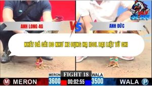 Trận 18 Bồ CPC3 28/12/2025