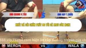 Trận 18 Bồ CPC4 16/12/2025