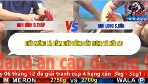 Trận 18 Bồ CPC5 9/12/2025