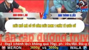 Trận 19 Bồ CPC5 6/12/2025