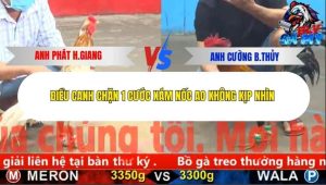 Trận 19 Bồ CPC5 9/12/2025