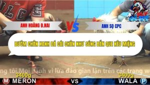 Trận 20 Bồ CPC4 15/12/2025