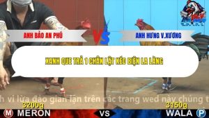 Trận 20 Bồ CPC4 23/12/2025