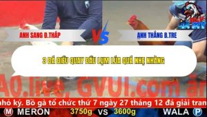 Trận 20 Bồ CPC5 25/12/2025
