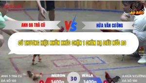 Trận 30 Bồ Xà Xía 7/12/2025