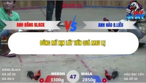 Trận 47 Bồ Xà Xía 19/12/2025