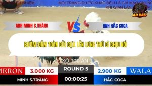 Trận 5 Bồ Tonhon 19/12/2025