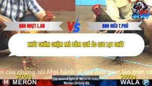 Trận 7 Bồ CPC4 24/12/2025