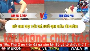 Trận 7 Bồ CPC5 5/12/2025