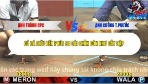 Trận 8 Bồ CPC4 25/12/2025