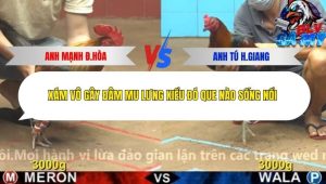 Trận 8 Bồ CPC4 ngày 1/12/2025