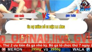 Trận 8 Bồ CPC5 27/12/2025