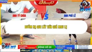 Trận 8 Bồ Tonhon 24/12/2025