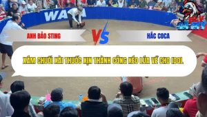 Trận 8 Bồ Tonhon 3/12/2025