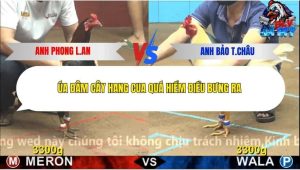 Trận 9 Bồ CPC4 16/12/2025