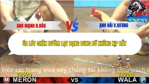 Trận 9 Bồ CPC4 26/12/2025