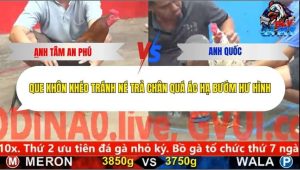 Trận 9 Bồ CPC5 27/12/2025