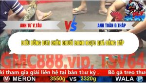 Trận 9 Bồ CPC5 3/12/2025