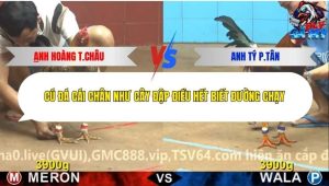 Trận 7 Bồ CPC4 3/1/2026