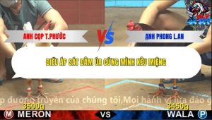 Trận 8 Bồ CPC4 3/1/2026